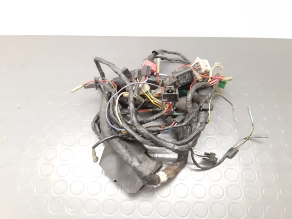 Wiring harness Kawasaki KLE 500 year 1991 onwards