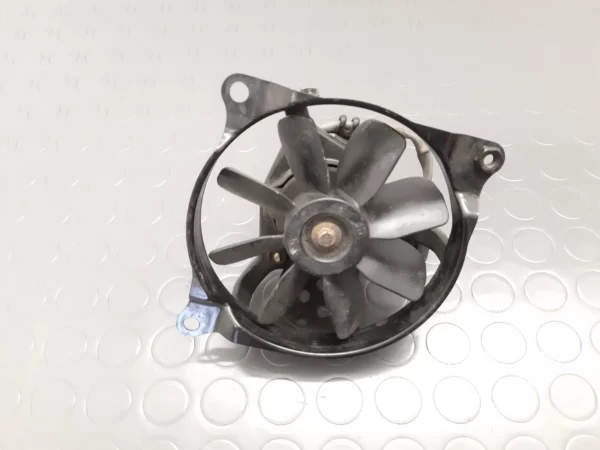 Kawasaki EN 500 fan from 1990 onwards