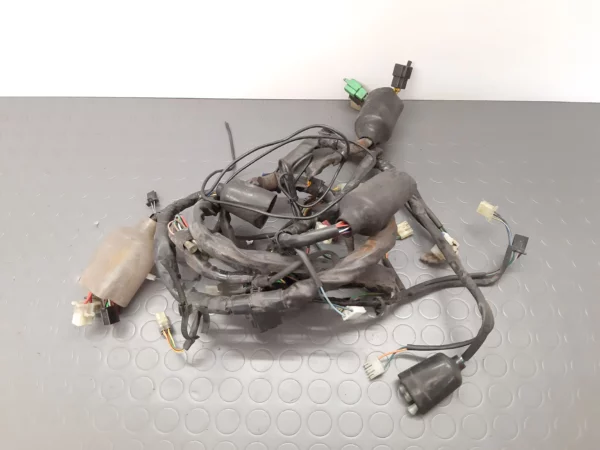 Wiring harness Honda NT 650 DEAUVILLE (RC47) year 1998-2005