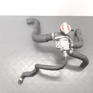 Termostato Suzuki GSF 650 Bandit ABS K7 anno 2008