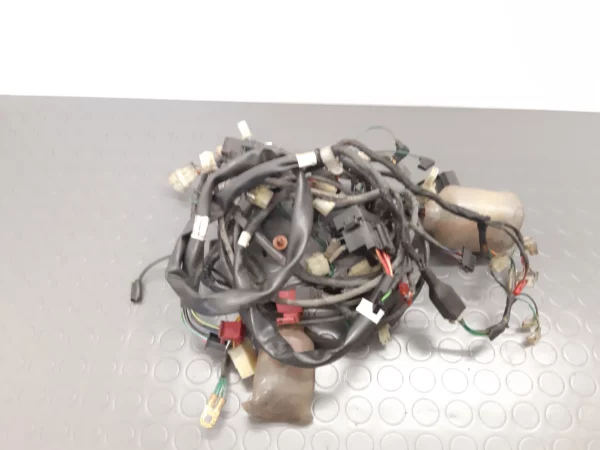 Kabelbaum HONDA FES 125 PANTHEON (JF05) Jg. 1998-2002