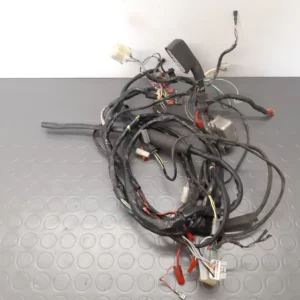 Wiring harness Piaggio Vespa ET4 125 Yr. 1996-99